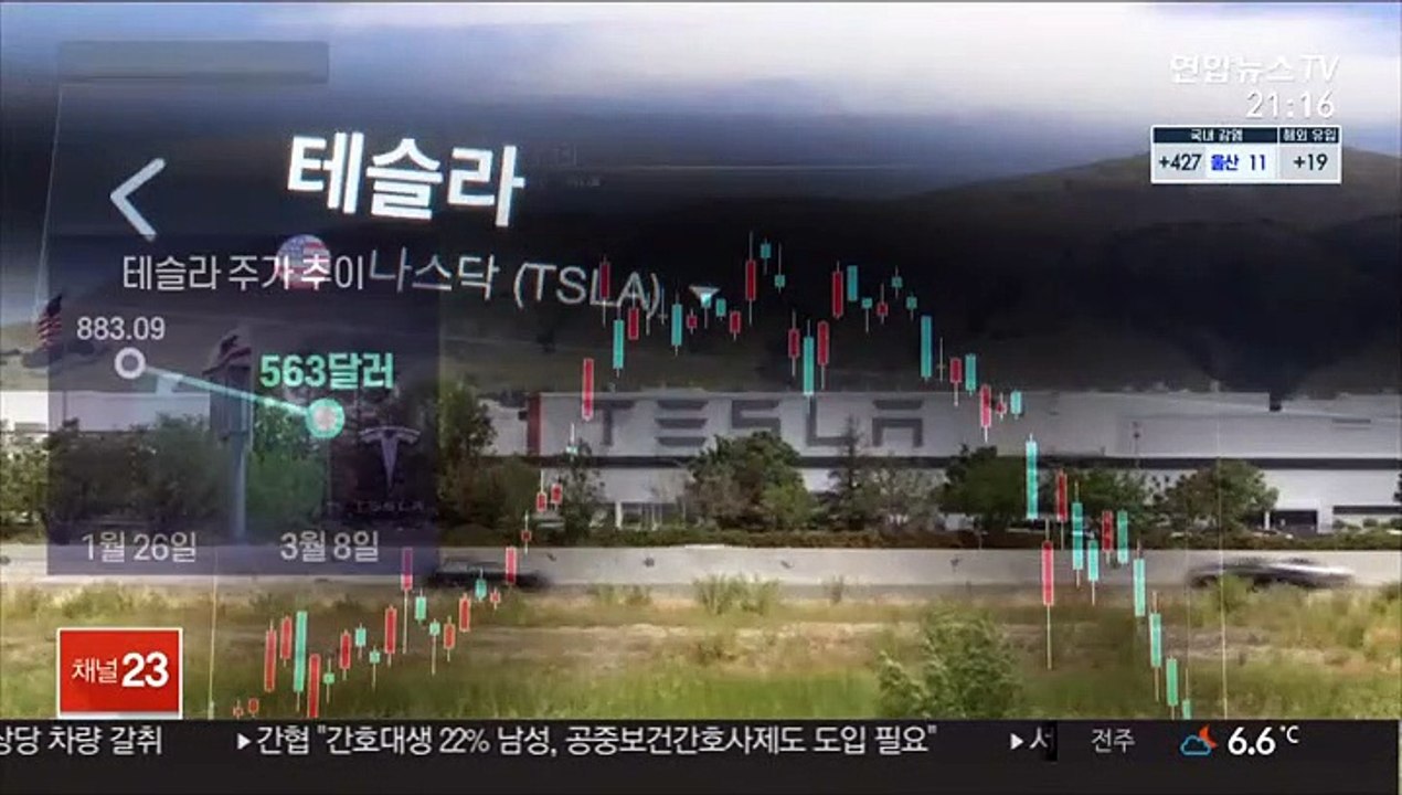 바닥 뚫린 테슬라 주가…시름 깊어진 '서학개미'