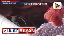 ULATSERYE: Pagpasok ng SARS-COV-2 virus sa katawan ng tao, ipinaliwanag ng eksperto I via Sweeden Velado-Ramirez