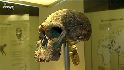 Theory-Breaking Neanderthal Bones Are Thousands of Years Older Than Previously Thought