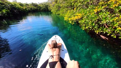 Présentation de l'Insta360 GO 2