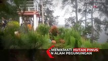 Bukit Bintang Pekalongan Sajikan Keindahan Alam dan Spot Foto Instagramable