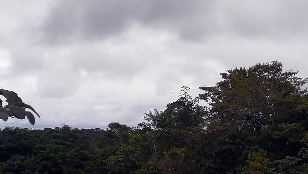 Boeing 767-300ER PR-ACO na aproximação final antes de pousar em Manaus vindo de Guarulhos