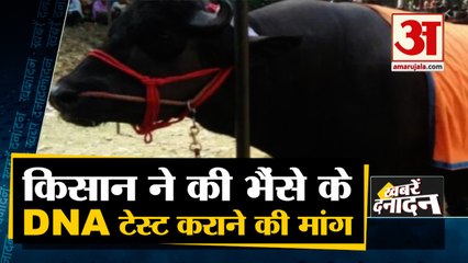 किसान ने Police से की भैंसे का DNA Test कराने  की मांग समेत 10 Big News