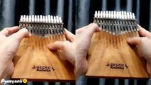 [Kalimba Cover] I Like You So Much, You'll Know It (我多喜欢你,你会知道) - A Love So Beau