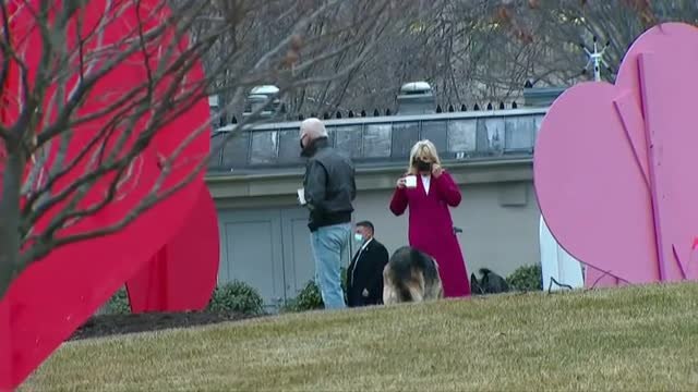 Los perros de Biden abandonan la Casa Blanca tras un incidente para volver a Delaware