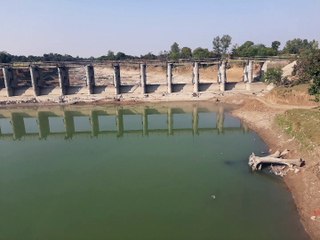 पलसावद डैम से अवैध रूप से निकाल जा रही मछली, कार्रवाई के लिए कलेक्टर, मत्स्य विभाग और थाने में शिकायत