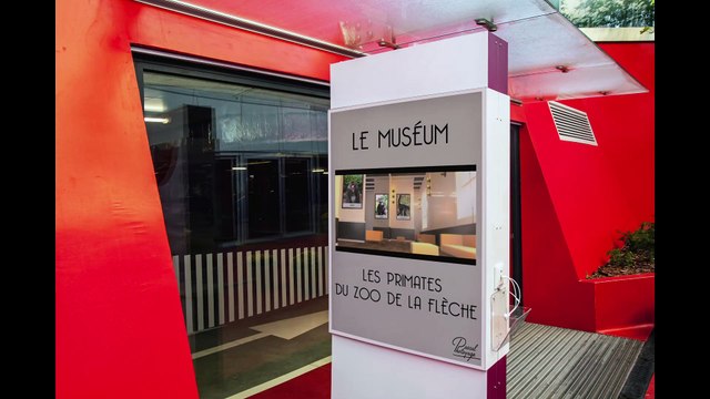 Les primates du zoo de La Flèche - The primates at La Flèche zoo