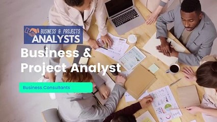 Business & Project Analyst