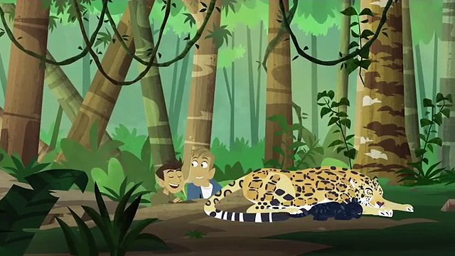 Wild Kratts Cute Animals Pt. 3 Dangerous Animals