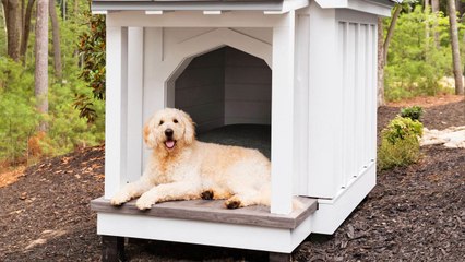 This Dog House Plan Is Exactly What Your Pet Needs