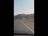 Un conductor kamikaze siembra el pánico en Cádiz