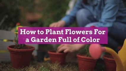 How to Plant Flowers For a Garden Full of Color