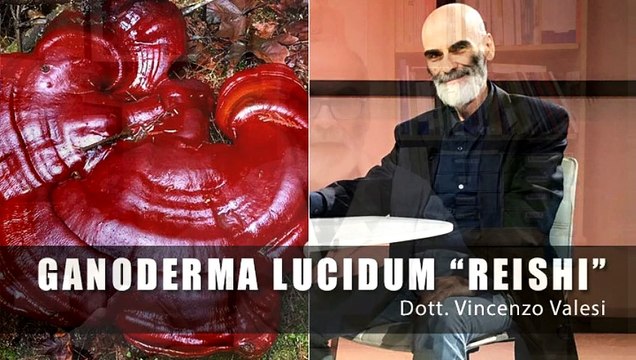 Dott. Valesi: I benefici del Ganoderma lucidum Reishi