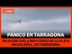 PÁNICO EN UNA PLAYA - Una avioneta provoca el pánico en una playa de Tarragona