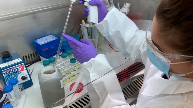 Ils traquent le Covid dans les eaux usées des écoles à la Garenne-Colombes