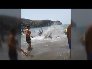 Banyistes fan cadena humana per salvar balenes varades