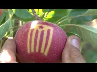 Creada la poma independentista