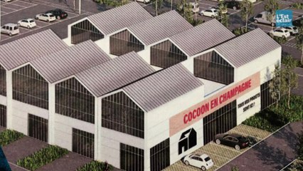 «Cocoon-en-Champagne» : ce que l'on trouvera au nouveau Bricorama de La Chapelle-Saint-Luc