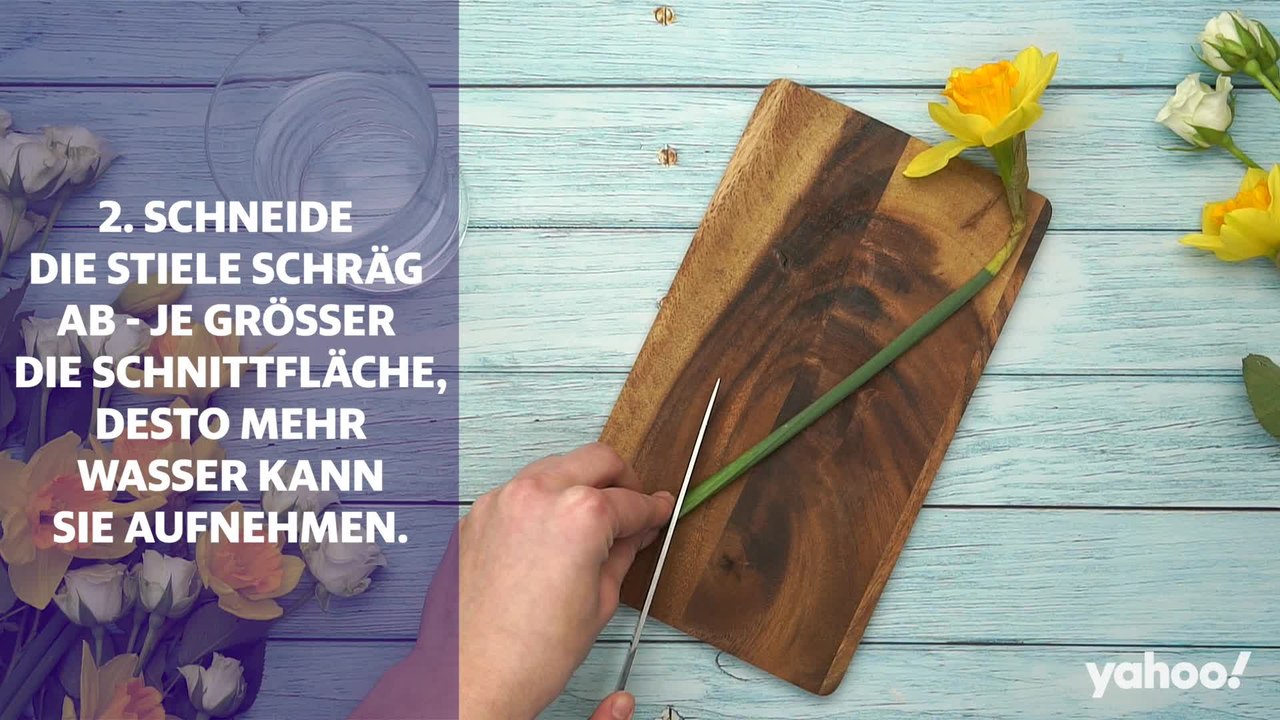 Flower-Power: Mit diesen Tipps halten deine Schnittblumen richtig lange