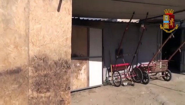 Noto (SR) - Cavalli maltrattati e corse clandestine blitz in una stalla del clan (09.03.21)