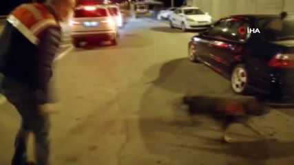 Kahramanmaraş’ta uyuşturucuya 21 gözaltı