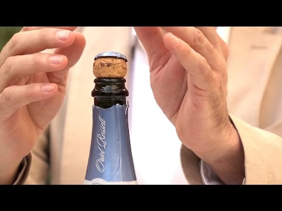 Gastronomia | Vins | Brut Cuvée Especial | 03