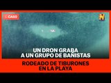 Un dron graba a un grupo de bañistas rodeado de tiburones en la playa