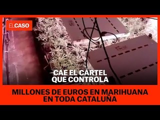 Cae el cártel que controla millones de euros en "sustancias" en toda Catalunya