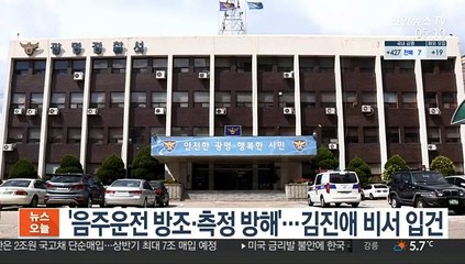 '음주운전 방조·측정 방해'…김진애 비서 입건