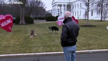 ترحيل كلبي بايدن من البيت الأبيض إلى منزل العائلة بسبب حادثة عض