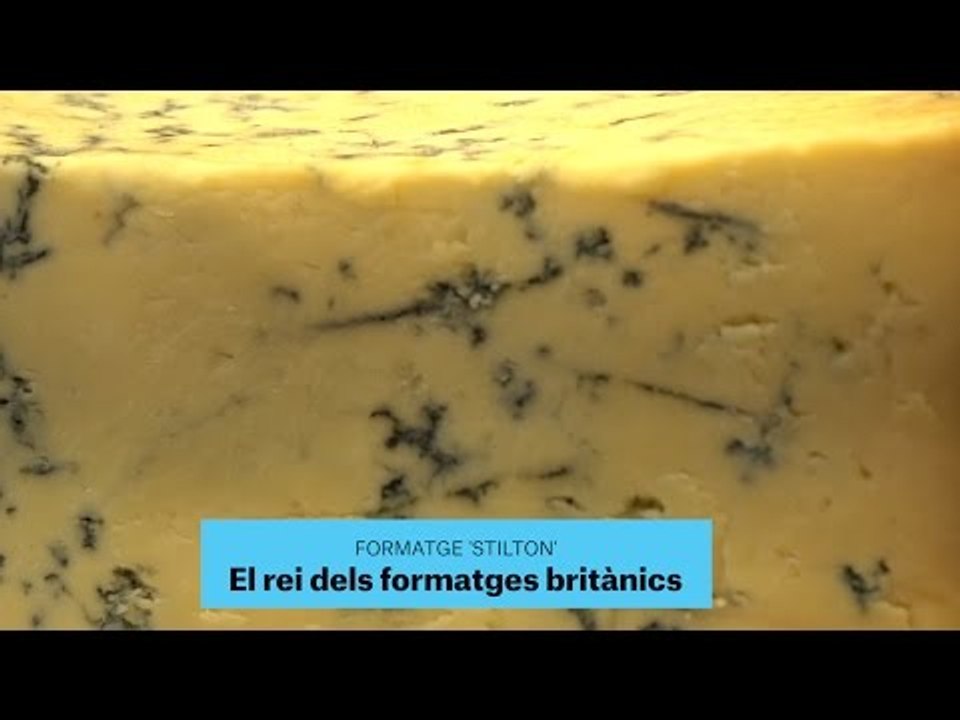 Gastronomia | Formatges | Stilton | 33