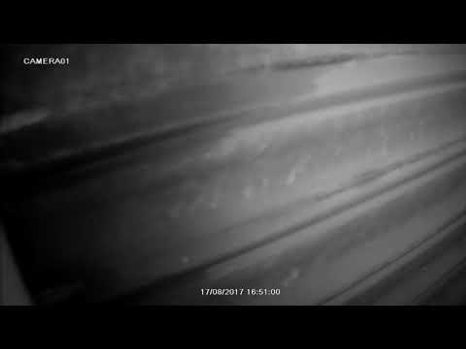 caM1