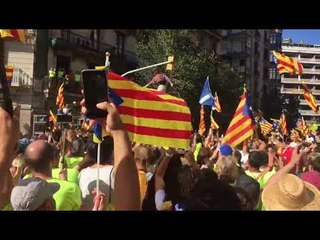 Participants Diada 11-S 2017_02