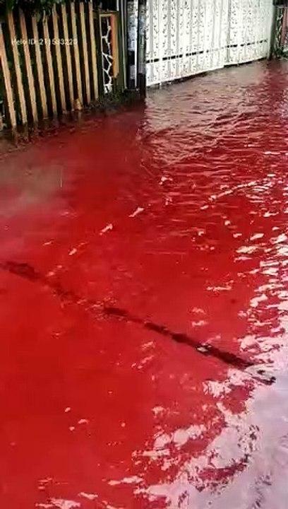 Banjir di pekalongan berwarna merah