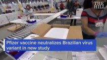 Pfizer vaccine effectiveness revealed in a study on CONCERNING Brazilian coronavirus strain