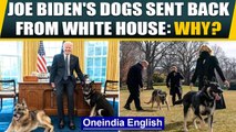 Joe Biden's dogs Major and Champ sent back to Delaware after this happened | Oneindia News