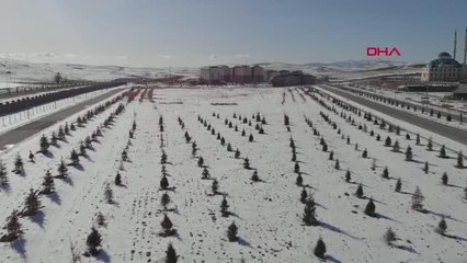 Kar ve yağmur suları yeşillendirecek