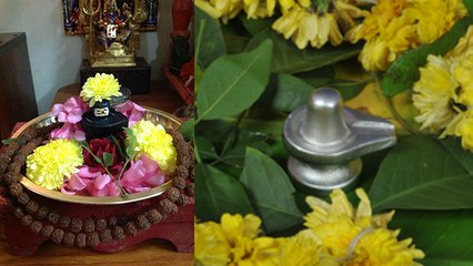 Mahashivratri 2021: महाशिवरात्रि में कैसा शिवलिंग घर लेकर आना चाहिए | Boldsky