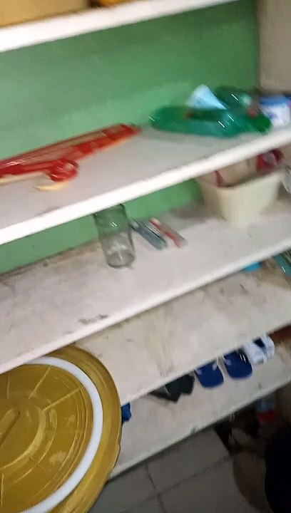 freeFlight