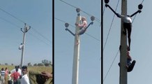 दादा-नाना बन चुका शख्स 11KV की लाइन के खम्भे पर चढ़ा, 60 की उम्र में करना चाहता है दूसरी शादी