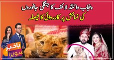 Punjab Wildlife decides to take action on wild animals exhibition
