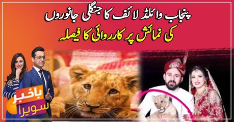 Punjab Wildlife decides to take action on wild animals exhibition