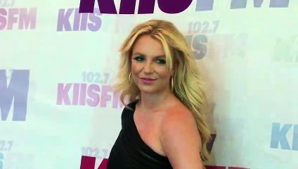 Britney Spears Boyfriend Wants more Kids With Her