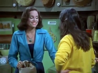 Rhoda   S04E06 Rhoda Likes Mike