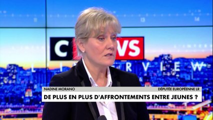 Nadine Morano : «Ce qui est insupportable dans ces images c’est de voir les policiers reculer»