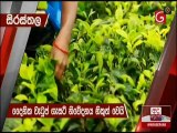 Ada Derana Lunch Time News 10-03-2021