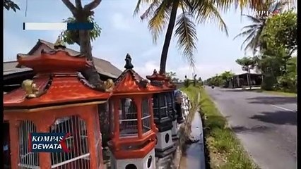 Sangkar Burung Cantik Berbahan Beton Untuk Hiasan Rumah