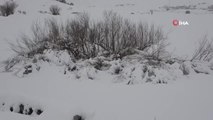 Ardahan'da kartpostallık kar manzaraları