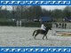 Miniature DailyMotion