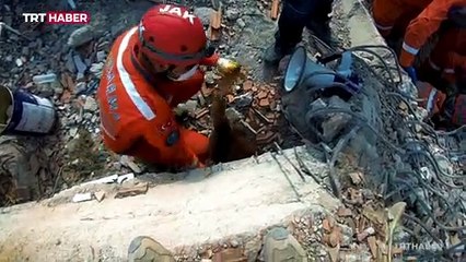 Jandarmanın göz bebekleri: JAK Köpekleri